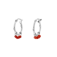 Oorbellen Spicy - zilver